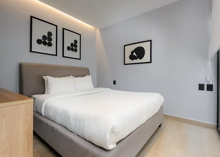 Lamartine 205 By Wynwood House * Mexico City
