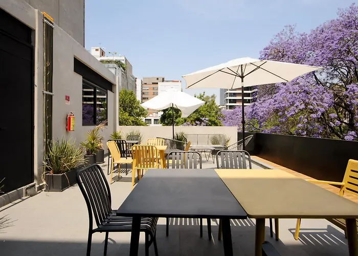 Lamartine 205 By Wynwood House * Mexico City